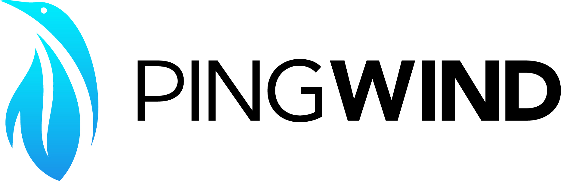 PingWind Logo-Print (White BG) (1) (1)