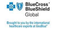 BCBS_Global_CROSS-SHIELD_EXPERTS_fulllength_rgb_2021-01 BlueCross BlueShield Global